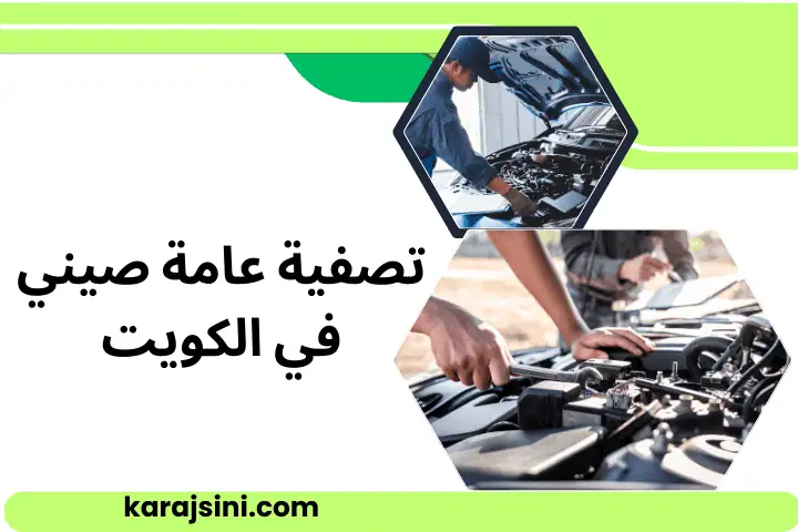 تصفية عامة صيني