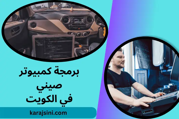 فني برمجة كمبيوتر صيني