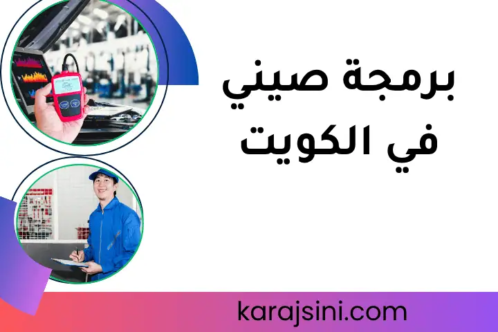 فني برمجة صيني