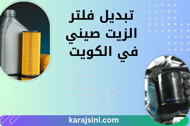 شركة تبديل فلتر الزيت صيني