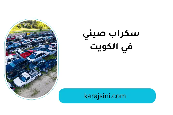 خدمة سكراب صيني
