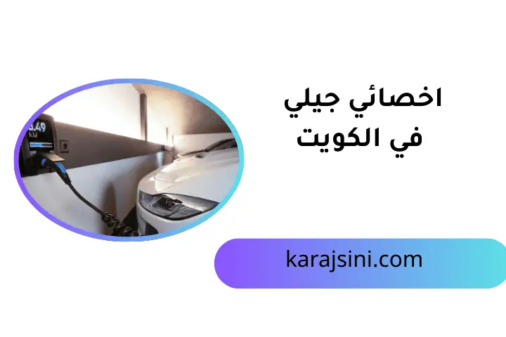 خدمة اخصائي جيلي