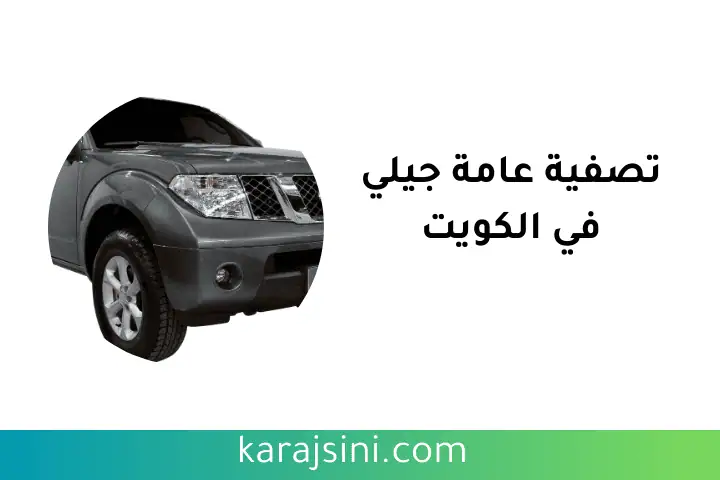 خدمة تصفية عامة جيلي