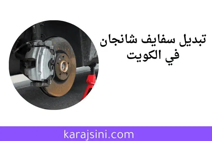 خدمة تبديل سفايف شانجان
