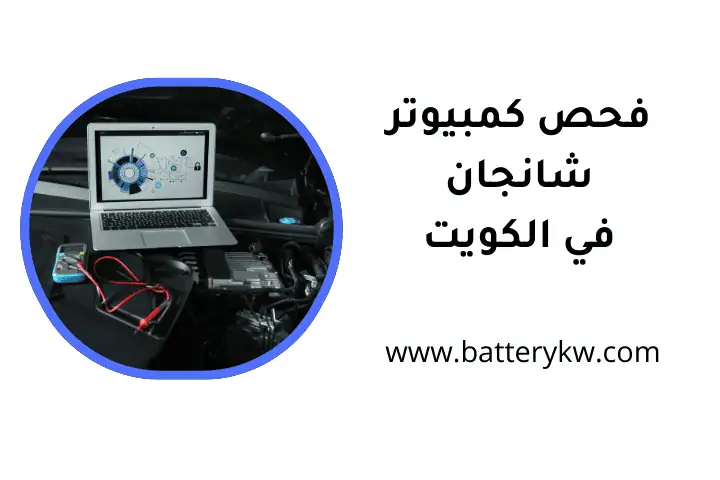 خدمة فحص كمبيوتر شانجان